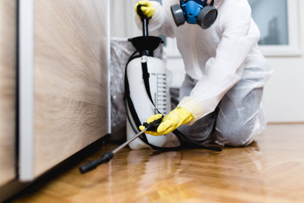 Best Affordable Pest Control Services  in Stigler, OK