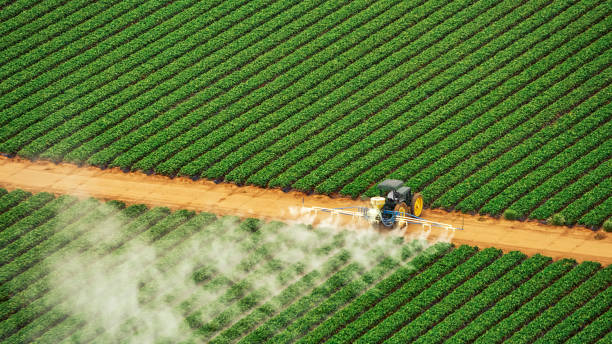  Stigler, OK Pest Control Pros