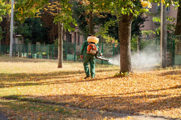 Best Local Pest Control Services  in Stigler, OK
