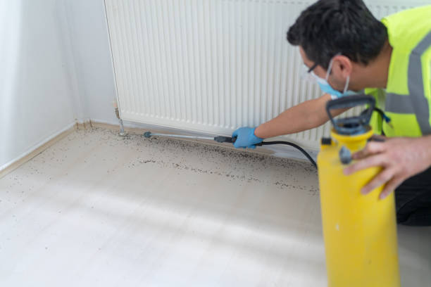 Best Ant Control Services  in Stigler, OK